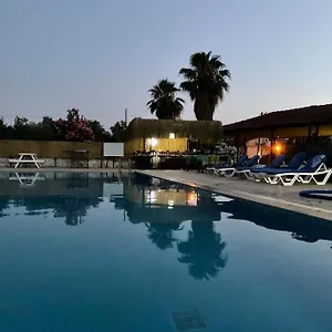 Sureyya Fethiye